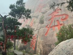 -崂山仰口游览区