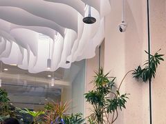 -大树餐厅(朝阳大悦城店)