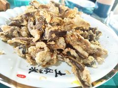 -草根堂农场