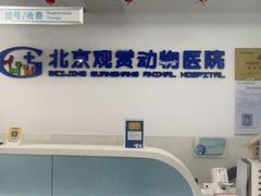 -北京观赏动物医院·24小时大型综合·猫专科·异宠专科