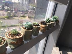 -木北护肤造型