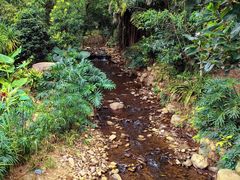 -深圳仙湖植物园