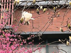 -浙江大学(玉泉校区)