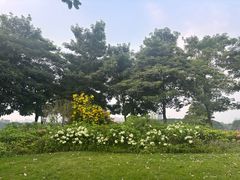 -海珠湖公园