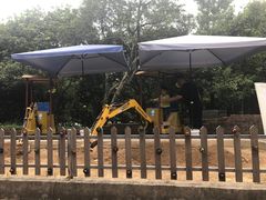 -杭州少年儿童公园