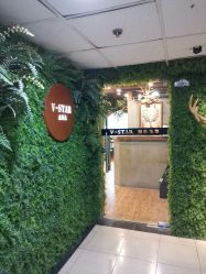 -V-STAR威斯达•高级私人定制