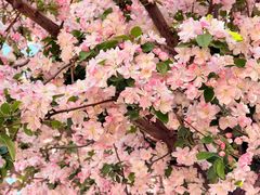 -京津佛罗伦萨小镇