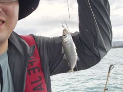 -小猫钓鱼海钓俱乐部(椰梦长廊店)