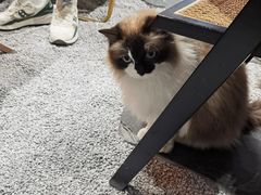 -seeu coffee(江滩店)