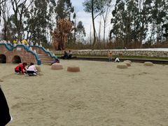 -白鹭湾湿地公园