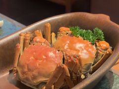 -牛New寿喜烧(金鹰世界店)