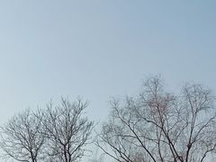 -文瀛公园