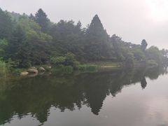 -庐山风景区花径公园