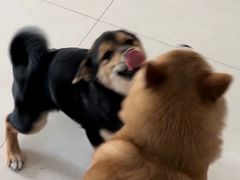 -宁波鄞州万达广场