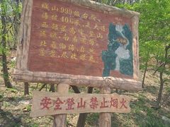 -金龙寺国家森林公园