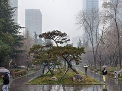 -木塔寺遗址生态公园