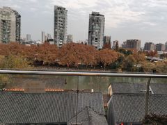 -至尊鲨鱼·原烹海鲜·新浙菜(拱宸桥店)