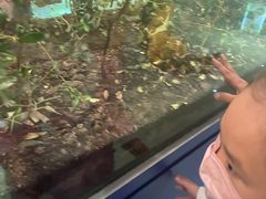 -上海昆虫博物馆