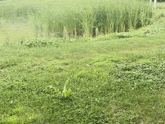 -黑龙江省森林植物园