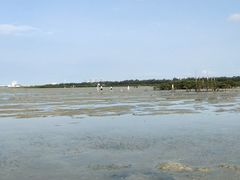 -北海金海湾红树林生态旅游区