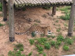 -西霞口神雕山野生动物世界
