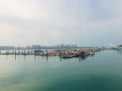 -五缘湾湿地公园