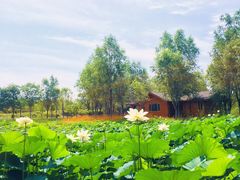 -东郊湿地公园