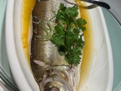 -羲和雅苑•北京烤鸭(陆家嘴中心店)