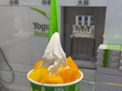 -Salud撒露欧洲冻酸奶(蓝色港湾店)