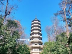 -灵谷景区