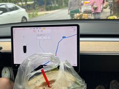 -东郊椰林