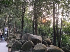 -火炉山森林公园