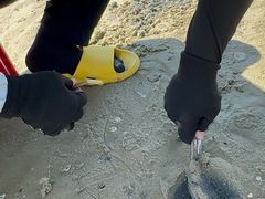 -北海金海湾红树林生态旅游区