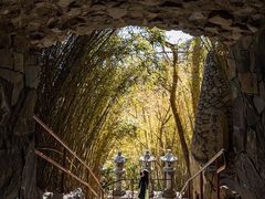 -海东龙宫寺