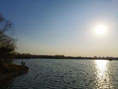 -大兴滨河森林公园