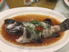 -天意坊