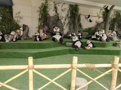 -成都泰迪熊博物馆