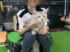 -AK健身普拉提拉伸私教馆(中八店)