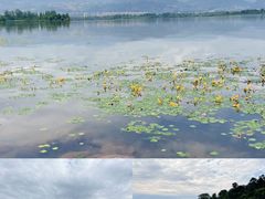 -西昌邛海湿地