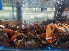 -麦德龙(郑东店)