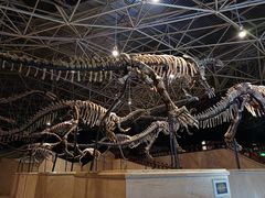 -世界恐龙谷景区