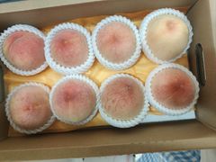 -鲜果壹号(旺墩店)