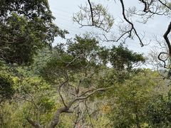 -洞背山庄(洞背院区式管理小区店)