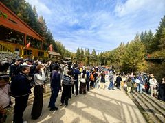 -苏木山森林公园