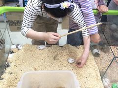 -钓仓鼠(洋桥北里小区店)
