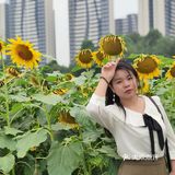 成都市区小众景点，向日葵花海。
