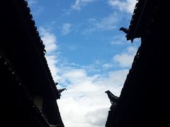 -丽江古城