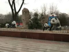 -太原动物园