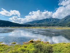 -腾冲北海湿地