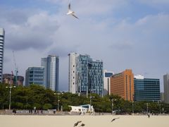 -海云台海滩